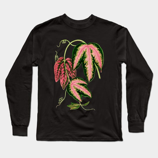 Passionflower - Passion Vine botanical illustration Long Sleeve T-Shirt by chimakingthings